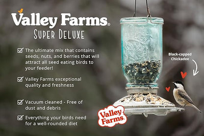Valley Farms Super Deluxe Wild Bird Food for Outside feeders - 0% fillers - Loads of Sunflower Seed - w/Peanut kernels -Feed More Birds w/Less Seed (4 LBS)