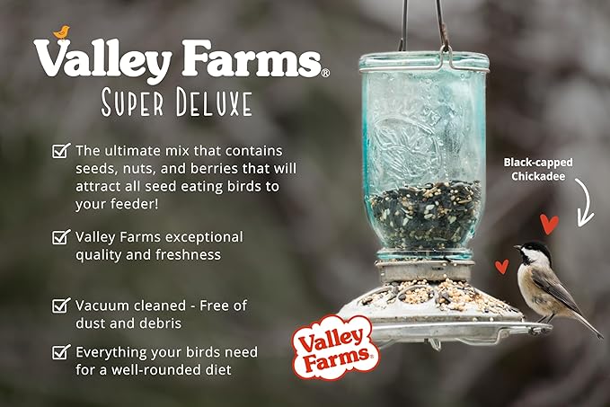 Valley Farms Super Deluxe Wild Bird Food 4 LBS (Pack of 2) for Outside feeders - 0% fillers - w/Sunflower Seed -Peanut kernels -Feed More Birds w/Less Seed