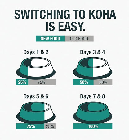 KOHA Limited Ingredient Diet Duck Pate for Cats - Single Meat Wet Cat Food for Sensitive Stomachs - Pate Cat Food with No Fillers - 5.5oz Pack of 24
