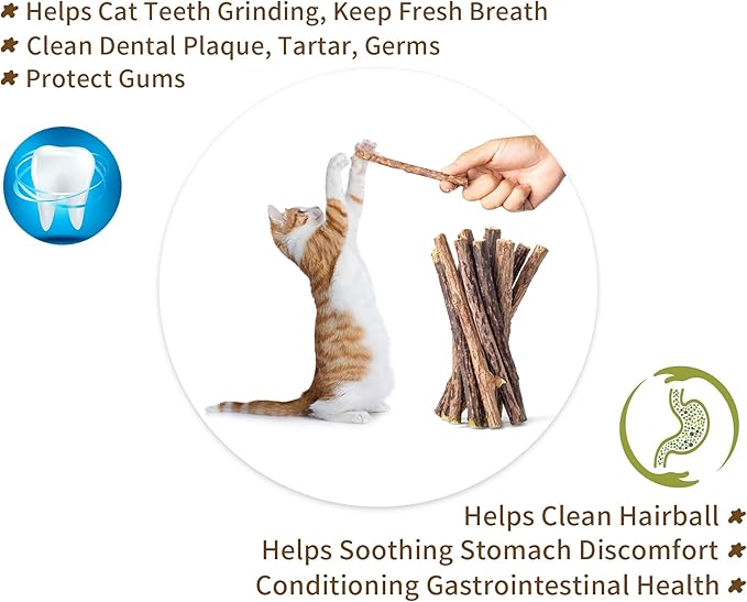 [ 15pcs Silvervine Sticks for Cats, Matatabi Cat Chew Sticks, Catnip Toys, Wooden Dental Sticks for Indoor Cats, Kitty, Kitten Teething Interactive Wand Toys