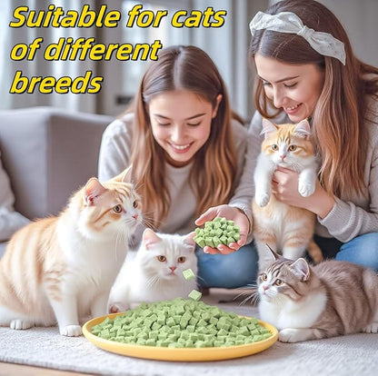 60g/2.12oz Cats Grass Treats Cat Toy for Teeth Cleaning Lickable Catnip Chew Snack for Indoor Fish Oil Flavored Kitty Freeze Dried Food Kitten Grass Teething Stick Hairball Removal Dog Treat