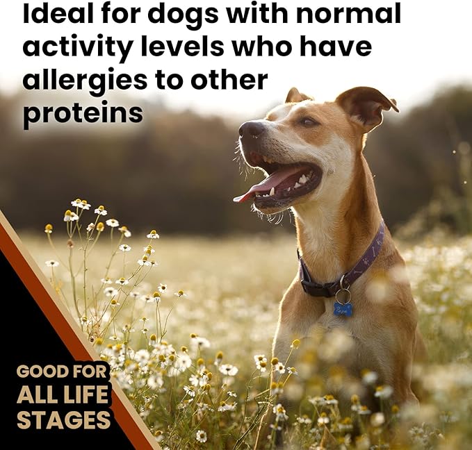 VICTOR Super Premium Dog Food – Chicken Meal & Brown Rice for All Normally Active Dogs of All Life Stages – Gluten-Free, Digestive & Immune Support, Ideal for Dogs with Meat Protein Allergies, 40 lb