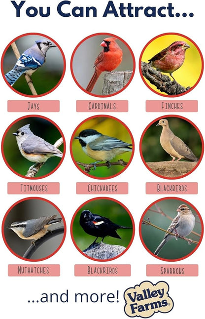 Valley Farms Deluxe Blend (4 LB) Wild Bird Food for Outside Feeders with Black Oil Sunflower Seed, Safflower Seed for Birds - Select Birdseed