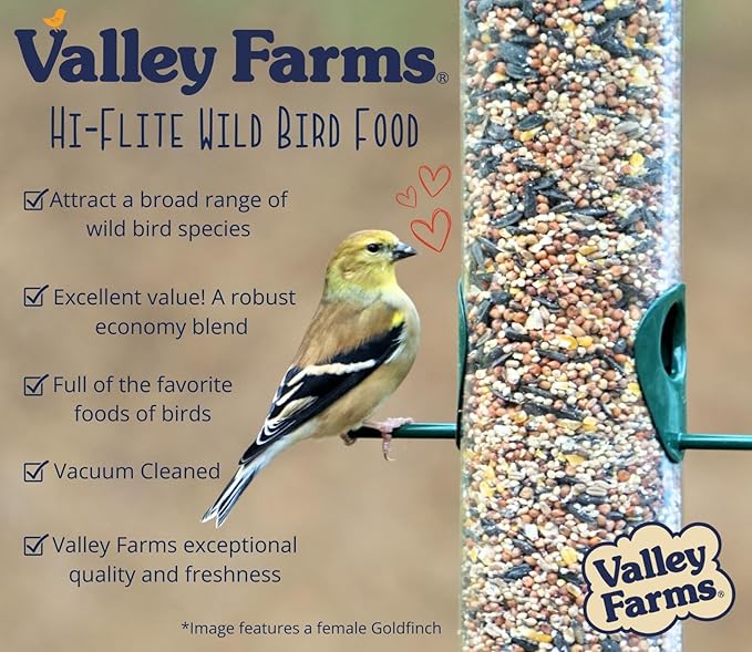 Valley Farms Hi-Flite Wild Bird Food for Outside feeders, Bird Seed with Millet, Crack Corn, and Black Oil Sunflower Seeds Birds, Economy Bird Seed for Outside Feeders, Birdseed (40 LBS)