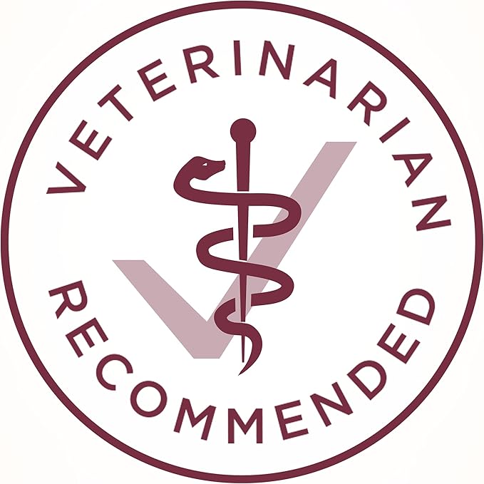 Purina ONE High Protein Dry Cat Food, +Plus Urinary Tract Health Formula - 22 lb. Bag