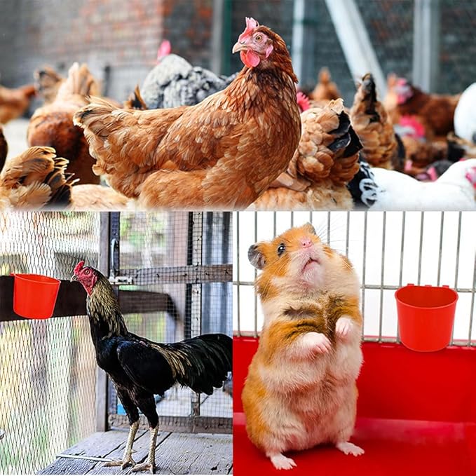 10Pcs Chicken Water Cups,Cage Cup Bird Cage Feeder,8 oz Chicken Feeders Water Bowl Hanging for Cage,Plastic Birds Feeders,Hanging Food and Water Coop Cups for Treats Grit(Red)