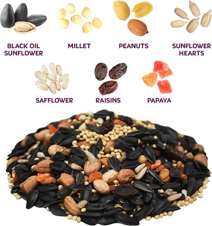 Audubon Park Nut & Fruit Wild Bird Seed – 8 lb. Premium Blend with Sunflower Seeds, Peanuts, Safflower & Dried Fruit – Bird Food for Outside Feeders