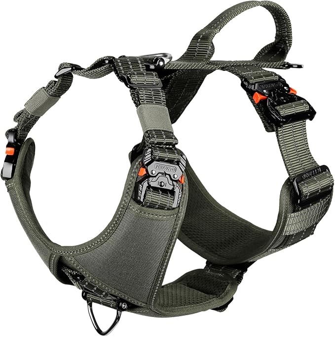 ICEFANG Dog Strap Harness with 4 x Metal Buckles,for Large Sized Dog,K9 Vest,Y-Shape Chest,Adjustable Pet Harness,No-Pull Front Leash Clip (Large (Pack of 1), Green)