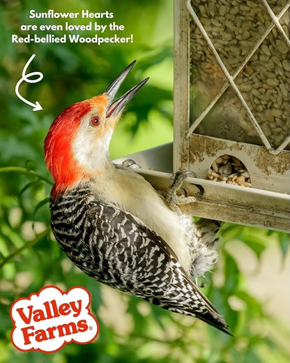 Valley Farms Whole Sunflower Hearts for Birds 4 LB 2-Pack (8 LB Total), Sunflower Kernels Wild Bird Food, No Mess Wild Bird Seed for Outside Feeders, Sunflower Hearts Birdseed