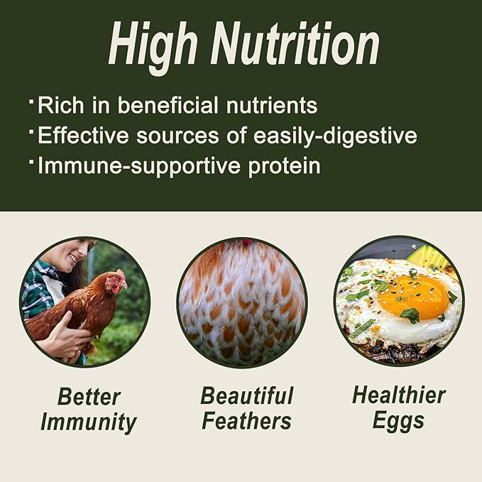 Adaman Dried Black Soldier Fly Larvae 5 LBS-100% Natural BSF Larvae-More Calcium Than Dried Mealworms High-Protein Chickens Treats, Food for Birds, Ducks, Layer Hens