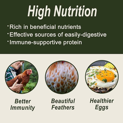 Adaman Dried Black Soldier Fly Larvae 10 LBS-100% Natural Non-GMO BSF Larvae-More Calcium Than Dried Mealworms High-Protein Chickens Treats, Food for Wild Birds, Ducks, Layer Hens