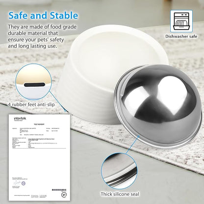 Tilted Angle Dog Bowl, 15° Slanted Stainless Steel Dog Cat Food Bowl, Non-Slip & Non-Spill Pet Feeder with Elevated Detachable Melamine Stand, Easy to Get Food Dish, Large 2 Cup White