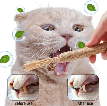 4 Pack Silvervine Sticks Cat Toys - Cat Chew Toy for Teeth Cleaning, Edible Matatabi Kitty Chew Sticks, Catnip Cat Toys for Indoor Cats