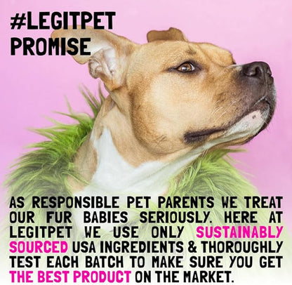 Allergy Relief Chews for Dogs & Immune & Digestive Supplement with Wild Salmon Oil Kelp Colostrum Turmeric Probiotics & Bee Pollen for Seasonal Allergies Anti Itch, Skin Hot Spots 120 Soft Treats