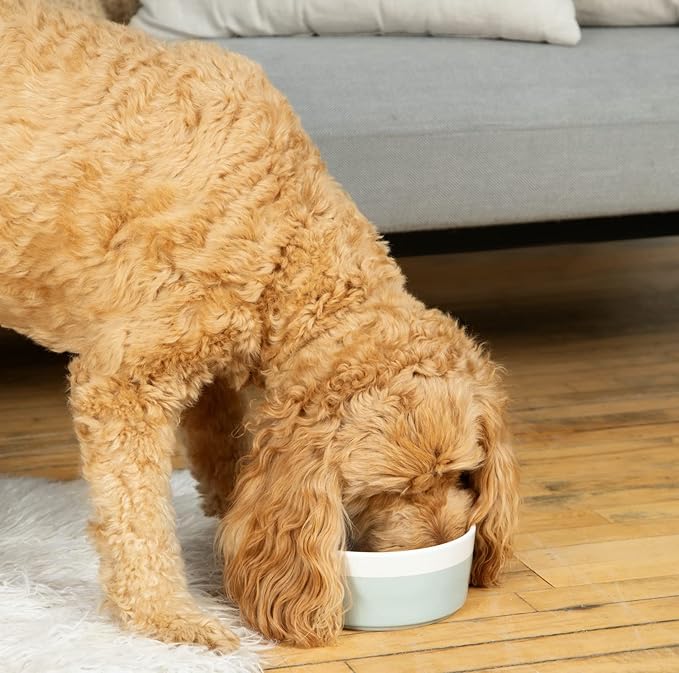 Waggo Dipper Ceramic Dog Bowl for Small and Large Breeds - Heavyweight and Durable Pet Food and Water Dish Crock, Dishwasher Safe, Modern (Cloud, Large)