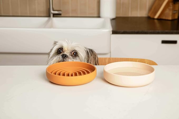 The Perfect Dish No-Spill Dog Water Bowl, Less Mess Non-Tippable Water & Food Bowl, Pure Silicone with Suction Cup, Fits 2 Cups 6” Across x 1.25” Tall, Ideal for All Pets, Small-Blush