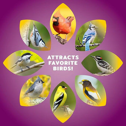 Audubon Park Nut & Fruit Wild Bird Seed – 8 lb. Premium Blend with Sunflower Seeds, Peanuts, Safflower & Dried Fruit – Bird Food for Outside Feeders