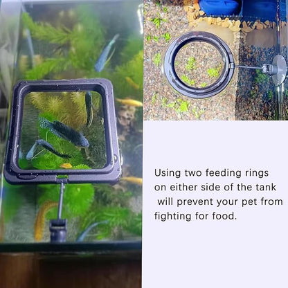 2PCS Fish Feeding Rings, Easy to Install Practical Aquarium and Fish Tank Floating Ring Food Feeder for Goldfish Turtles and Other Smaller Fish (Round and Square, Black)