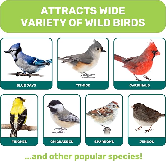 Wild Bird Seed 5 Lbs, Premium Mixed Wild Birdseeds, Nut Free Mix Feed, Nutrient-Rich Birdseeds, Supports Daily Energy Growth & Healthy Balanced Diet, Bird Seed for Outside Feeders