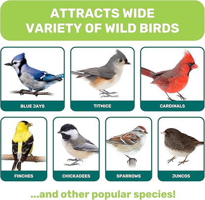 Wild Bird Seed 5 Lbs, Premium Mixed Wild Birdseeds, Nut Free Mix Feed, Nutrient-Rich Birdseeds, Supports Daily Energy Growth & Healthy Balanced Diet, Bird Seed for Outside Feeders