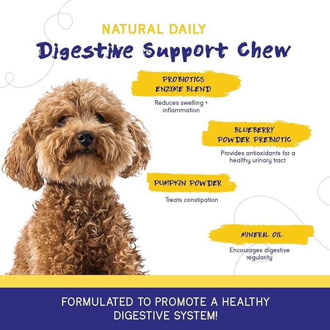 PupGrade 2-Pack Skin & Coat and Digestive Chews for Dogs - Coat Care & Allergy Defense Supplement with Natural Fish Oils - Prebiotic and Probiotic Supplement with Enzyme Blend - 120 Chews