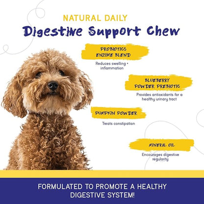 PupGrade 2-Pack Skin & Coat and Digestive Chews for Dogs - Coat Care & Allergy Defense Supplement with Natural Fish Oils - Prebiotic and Probiotic Supplement with Enzyme Blend - 120 Chews