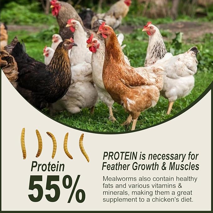 Adaman Dried Mealworms -5 LBS- 100% Natural High Protein Mealworms - Bulk Meal Worms for Blue Birds, Chickens, Ducks - Best Chicken Treats, Bird Food, Turtle Food