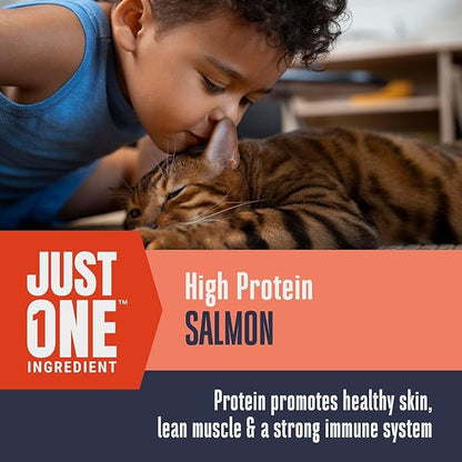 Whole Life Pet Just One Salmon - Cat Treat Or Topper - Human Grade, Freeze Dried, One Ingredient - Protein Rich, Grain Free, Made in The USA (Pack of 2)