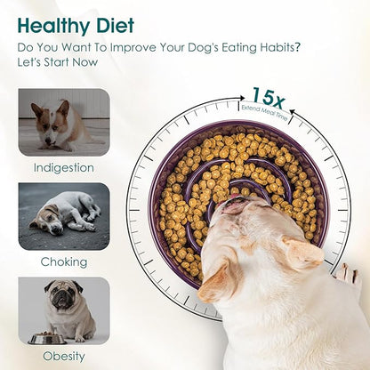 vancasso Slow Feeder Dog Bowl, 0.6 Cups Ceramic Dog Food Dish for Fast Eaters Small Breed, Puzzle Bowl for Small Dogs and Cats, Dark Purple