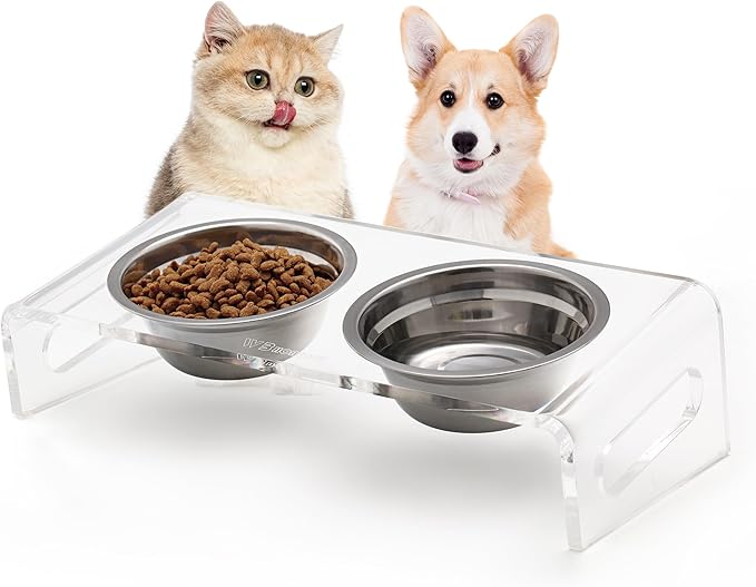 Tilted Raised Elevated Food and Water Bowls Stand for Cat or Small Dogs - Puppy's Clear Acrylic Stainless Steel Dishes Holder for Boy or Girl Pet,Modern,Durable and Easy to Clean by WBhonghui (Clear)