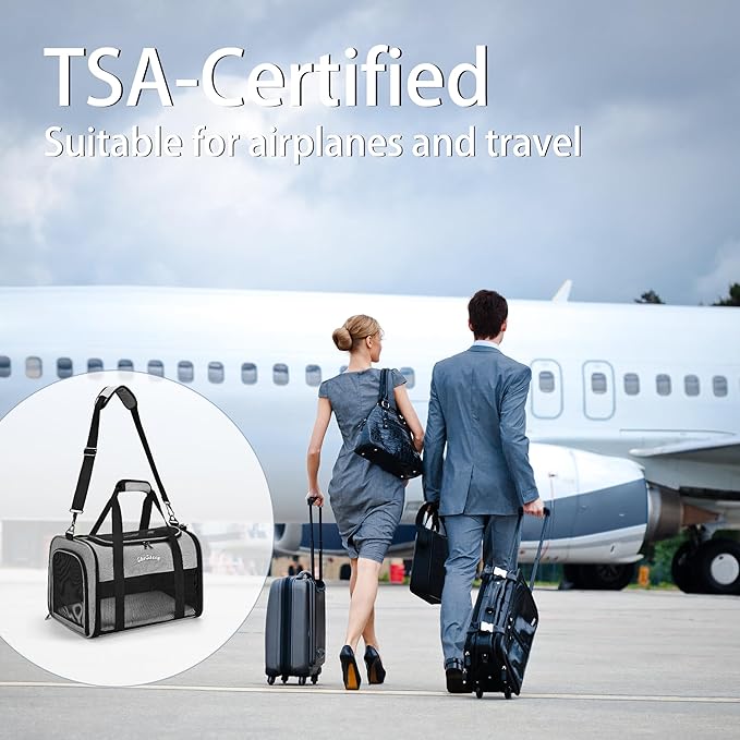 Airline Approved Pet Carrier for Cats & Small Dogs (Up to 18 Lbs) - Soft Sided Travel Carrier with Washable Pad (Grey)