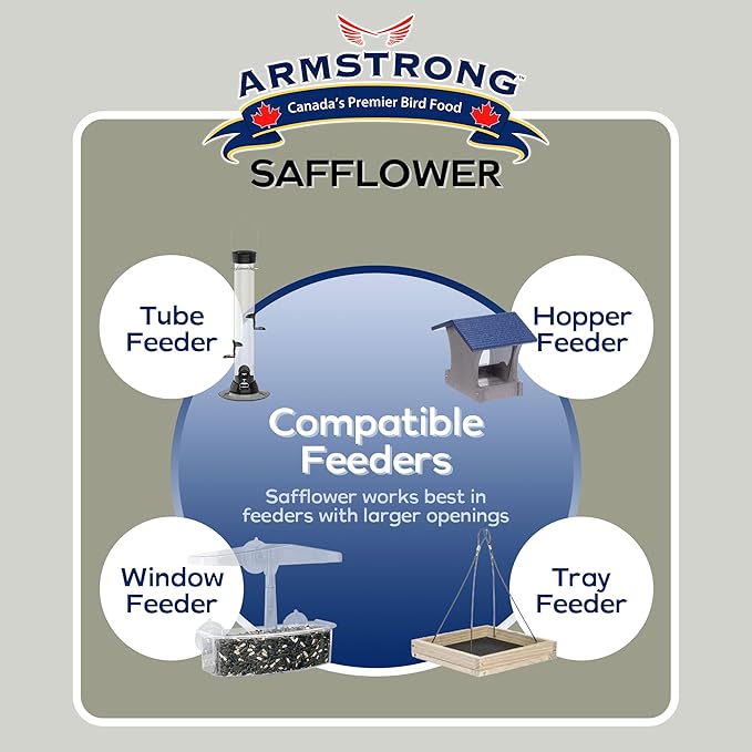 Armstrong Wild Bird Food Safflower Bird Seed, 4 Pounds - for Northern Cardinals, Rose-Breasted Grosbeaks and Black-Capped Chickadees - Ideal for Outside Feeders
