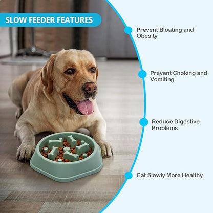 UPSKY Slow Feeder Dog Puzzle Bowl - Anti-Chocking, Interactive, Bloat Stop, Non-Slide, Lick Treat Bowl for Small & Medium Dogs (Green)