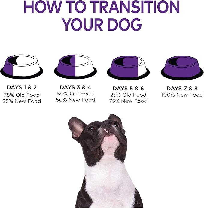 [Wellness Natural Pet Food] Chicken & Barley