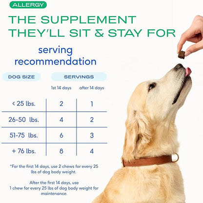 Native Pet Dog Allergy Chews - Dog Allergy Relief with Probiotics and Colostrum for Itchy Skin Relief to Support Seasonal Allergy and Healthy Immune System - All Natural Anti-Histamine - 120 Chews