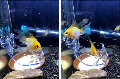 Aquarium Fish Shrimp Feeding Dish Set, Transparent Shrimp Feeding Tube, Fish Tank Feeding Supplies with Feeding Ring Cleaning Brush