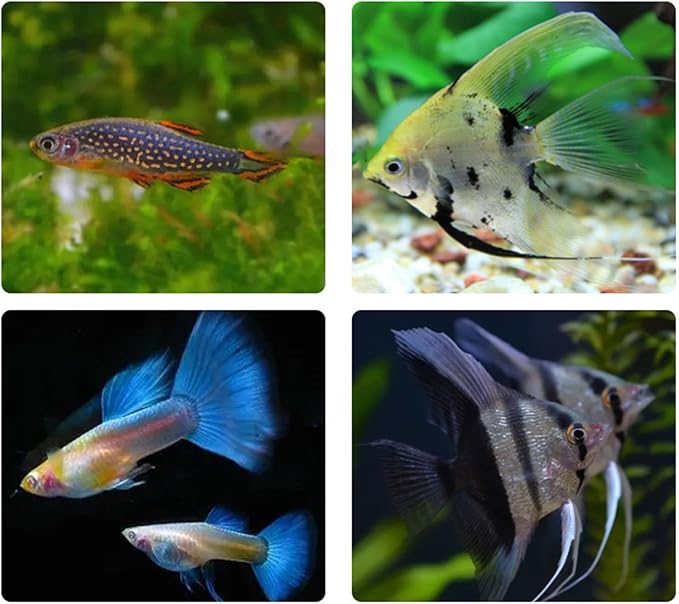 Tropical Fish Feed 400ml Fish Feed Small Ornamental Fish Feed Aquarium Fish Feed Seedling Growth Food Nutritionally Balanced