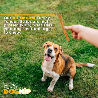 Gobble! 6-Inch Turkey Tendon Strips for Dogs, 6 oz. (170g) Reseal Value Bag, Made in USA, All-Natural Hypoallergenic Dog Chew Treat | Sourced, Processed & Packaged in The USA | (45-50 Pieces)