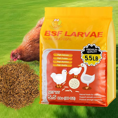 5.5LBS Black Soldier Fly Larvae Superior to Dried Mealworm - BSF Larvae 85x More Calcium Than Meal Worms for Chickens - Black Solider Fly Larvaeis Treats for Laying Hens, Birds, Reptiles