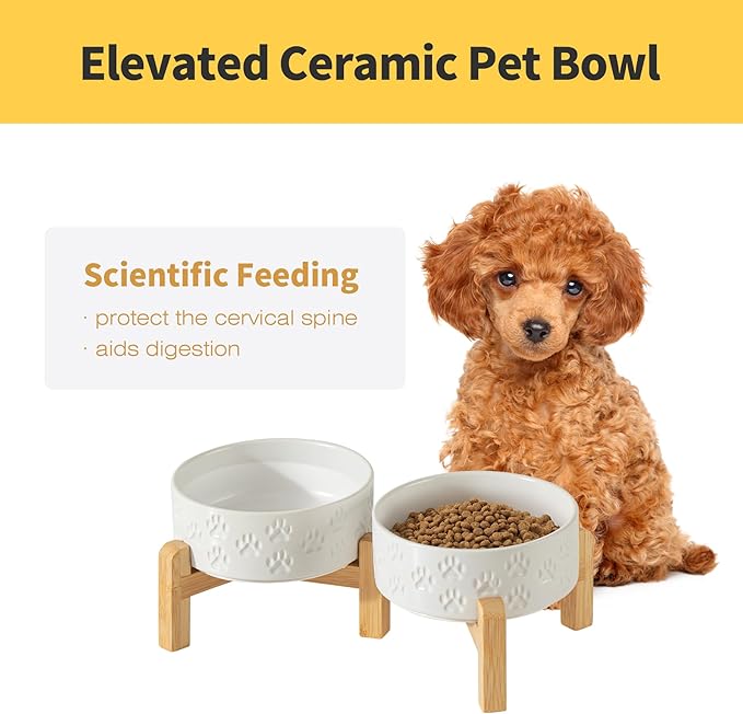 5.1" Raised Ceramic Dog Bowl Set, Two Dog Dishes with 2-Height Stand, Elevated Food & Water Bowls for Cats, Puppies, Non-Slip, 13.5 OZ, Dishwasher Safe (Double Bowls + Stand - White, 5.1 inch)
