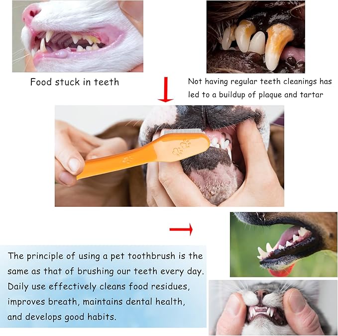 200PCS Pet Toothbrush Set, 5 Colors Dual-Ended Dog Cat Tooth Brushes Bulk for Small Medium Large Dogs Cats, Soft Bristles Teeth Cleaning Kit for Cat Dog Puppy Kitten Dental Care Fresh Breath