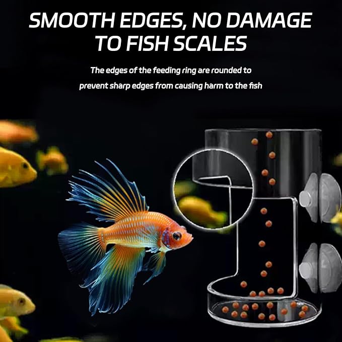 2 Pcs Fish Tank Feeding Tray with Suction Cup,Fish Feeding Tube,Automatic,Food Feeder,Feeder Automatic Dispenser for All Kinds of Food Tanks Bowls Accessories