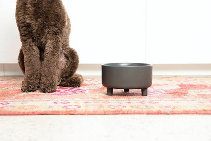 Waggo Uplift Ceramic Dog Bowl for Small Medium and Large Breeds - Heavyweight and Durable Pet Food and Water Dish Crock, Dishwasher Safe, Modern, Elevated Feeder (Teracotta, Medium)