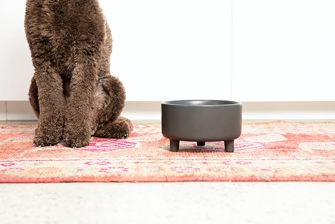 Waggo Uplift Ceramic Dog Bowl for Small Medium and Large Breeds - Heavyweight and Durable Pet Food and Water Dish Crock, Dishwasher Safe, Modern, Elevated Feeder (Black, Medium)