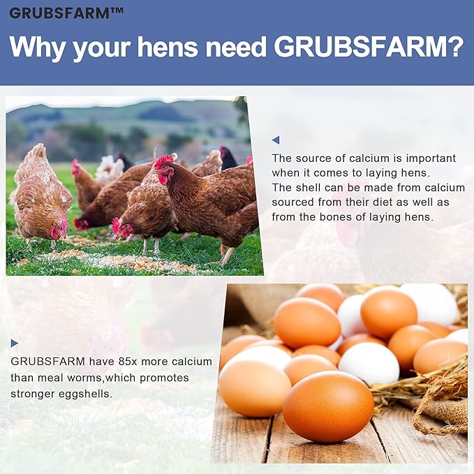 Superior to Dried Mealworms for Chickens 5lb - 85X More Calcium Than Mealworms - Non-GMO Chicken Feed - Molting Supplement - BSFL Treats for Hens, Ducks, Turkeys, Wild Birds, Quails