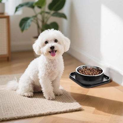 Stainless Steel Dog Bowls, Spill Proof Basic Dogs Bowls for Small Dogs Cats, 2 Cup Dog Food and Water Bowl, Non-Slip Puppy Feeder, Cat Bowl for Feeding Water - Starry Gray