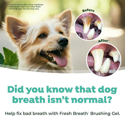 TropiClean Oral Care Brushing Gel for Dogs & Cats| Dog Toothpaste | Pet Dental Gel | Dog Teeth Cleaning Use with Pet Toothbrush | 2 oz