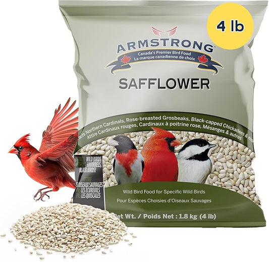Armstrong Wild Bird Food Safflower Bird Seed, 4 Pounds - for Northern Cardinals, Rose-Breasted Grosbeaks and Black-Capped Chickadees - Ideal for Outside Feeders