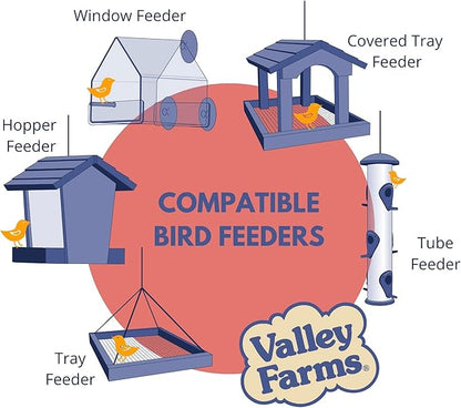 Valley Farms Deluxe Blend 4 LB 2-Pack (8 LBS Total) Wild Bird Food for Outside Feeders with Black Oil Sunflower Seed and Safflower Seed for Birds - A Select Birdseed