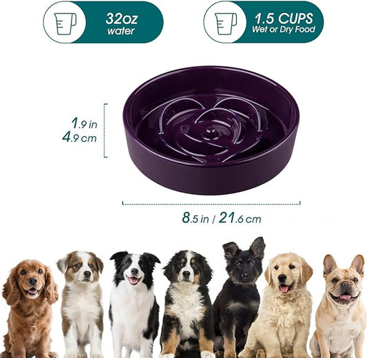 vancasso Slow Feeder Dog Bowl, 1.5 Cups Ceramic Slow Feeder for Medium Breed, Puzzle Maze Food Dog Bowl for Fast Eater, Dark Purple